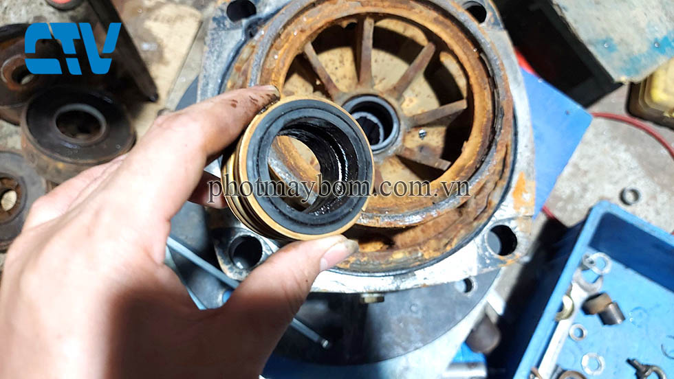 Nguyên nhân hỏng phớt máy bơm nước: Cách nhận biết, mô tả và hướng dẫn thay phớt đúng kỹ thuật