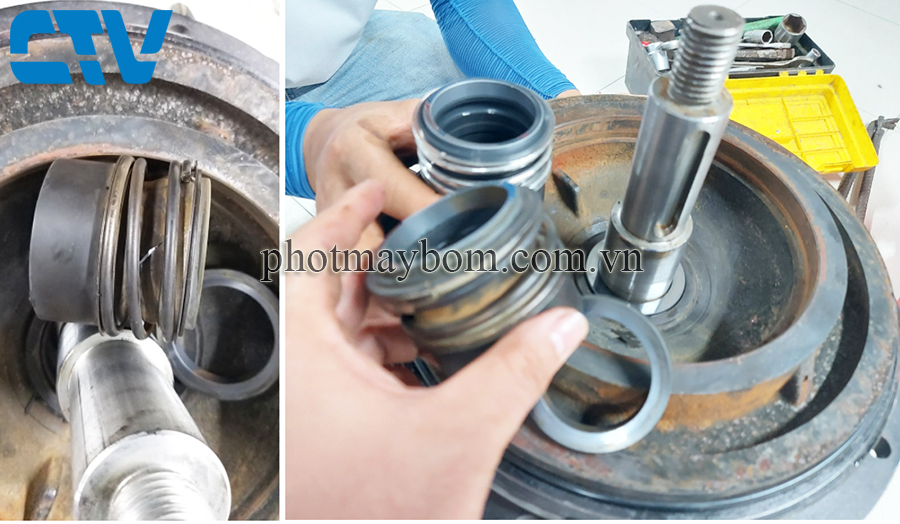 Cường Thịnh Vương - Địa chỉ uy tín, chất lượng thay phớt máy bơm cứu hỏa tại  Hà Nội