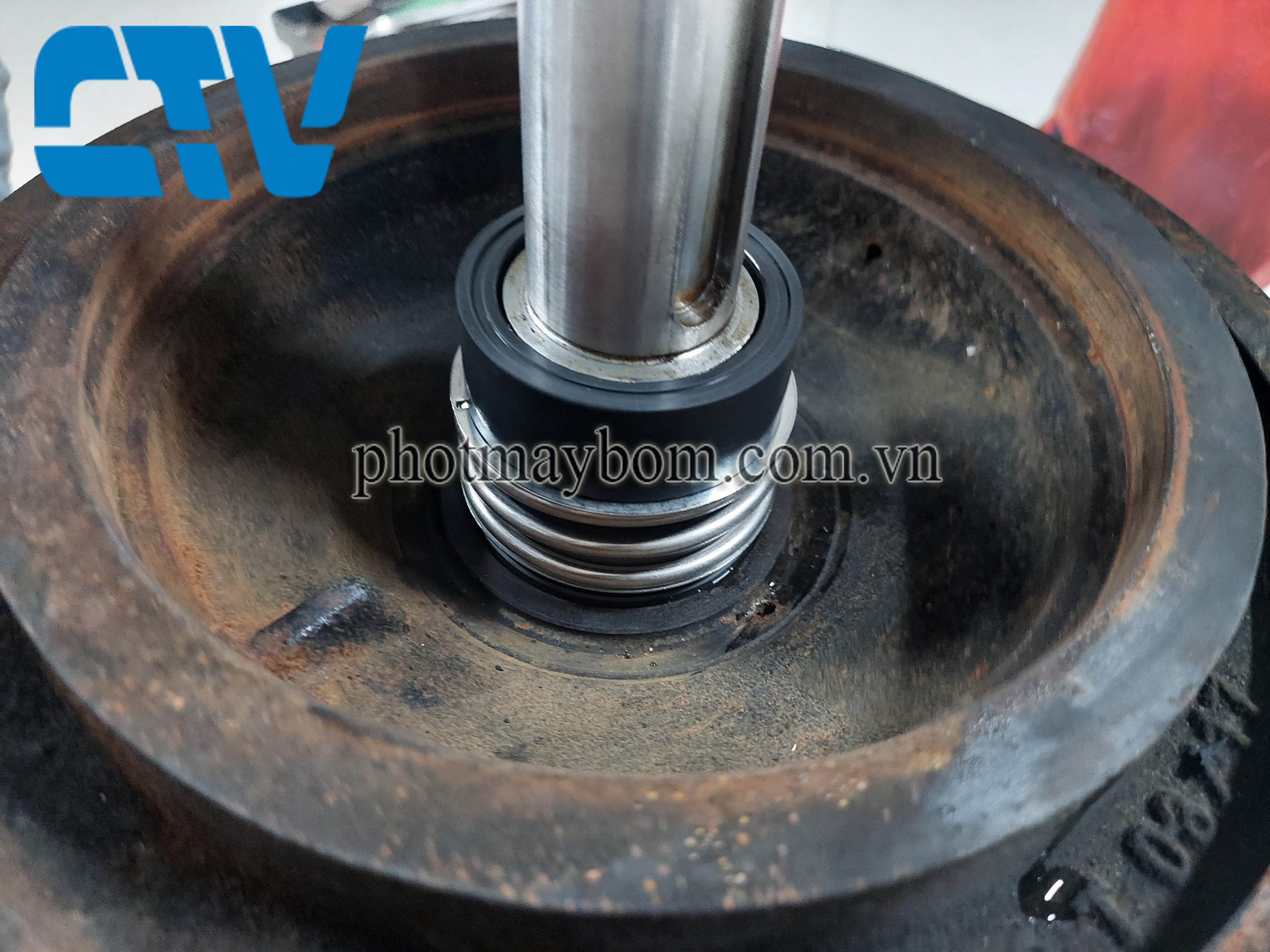 Sửa Chữa Và Thay Phớt Bơm Trục Đứng Pentax Chính Hãng, Nhanh, Uy Tín, Giá Tốt